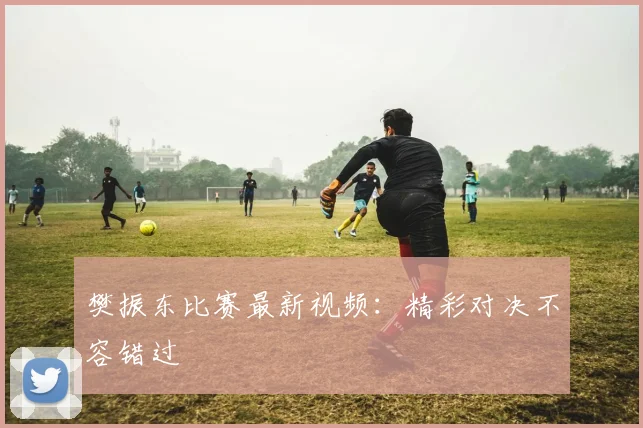 樊振东比赛最新视频：精彩对决不容错过