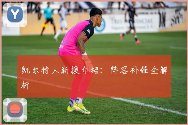凯尔特人新援介绍：阵容补强全解析