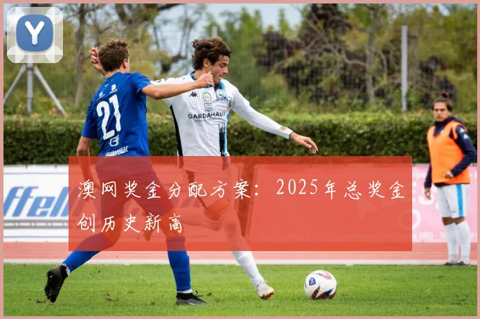 澳网奖金分配方案：2025年总奖金创历史新高
