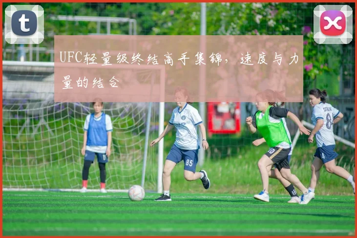 UFC轻量级终结高手集锦,速度与力量的结合