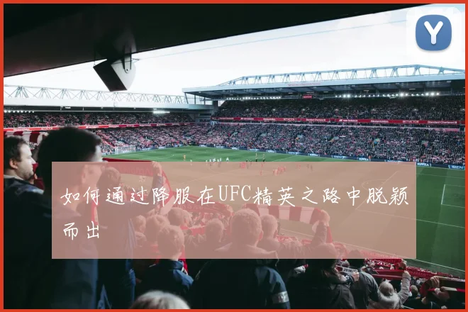 如何通过降服在UFC精英之路中脱颖而出