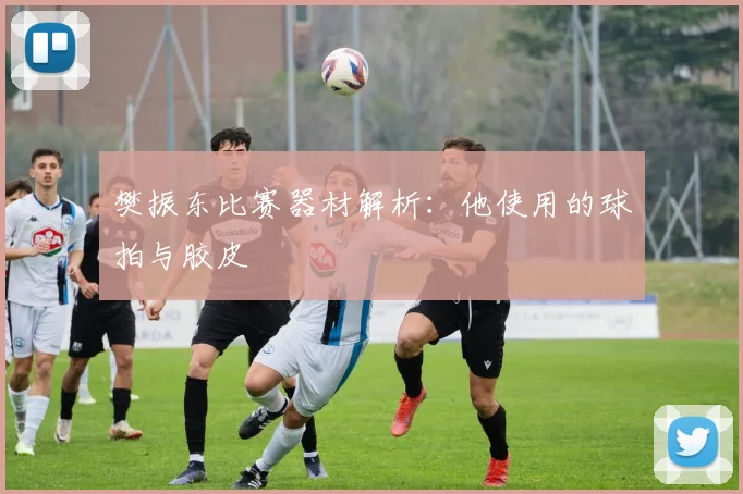 樊振东比赛器材解析：他使用的球拍与胶皮