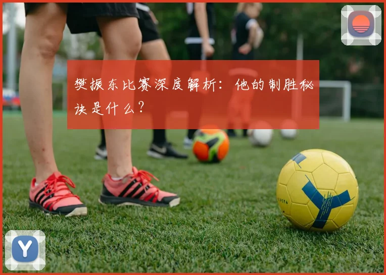 樊振东比赛深度解析：他的制胜秘诀是什么？