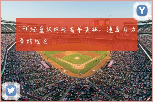 UFC轻量级终结高手集锦，速度与力量的结合