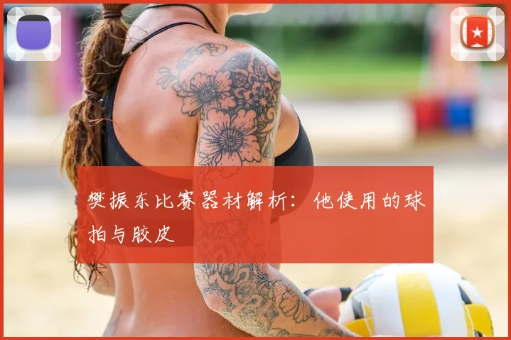 樊振东比赛器材解析：他使用的球拍与胶皮