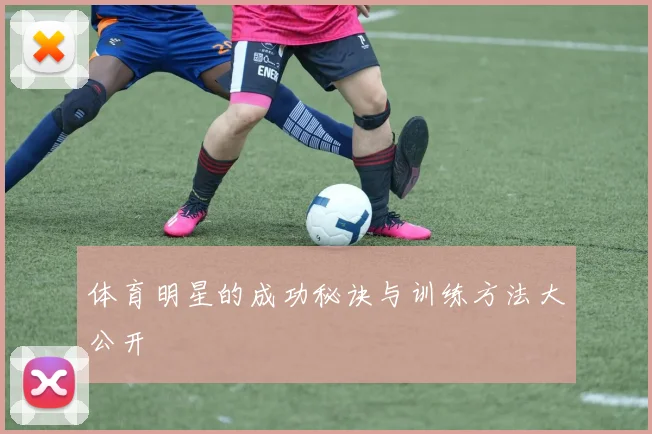 体育明星的成功秘诀与训练方法大公开