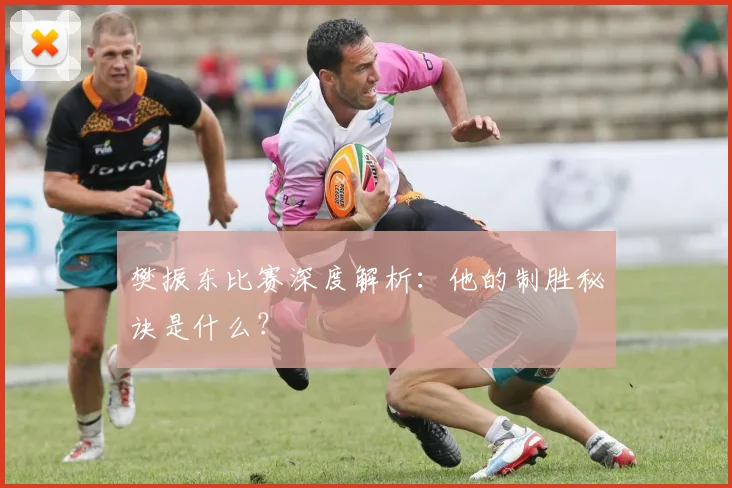 樊振东比赛深度解析：他的制胜秘诀是什么？